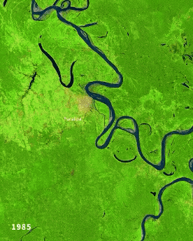 River morphodynamics
