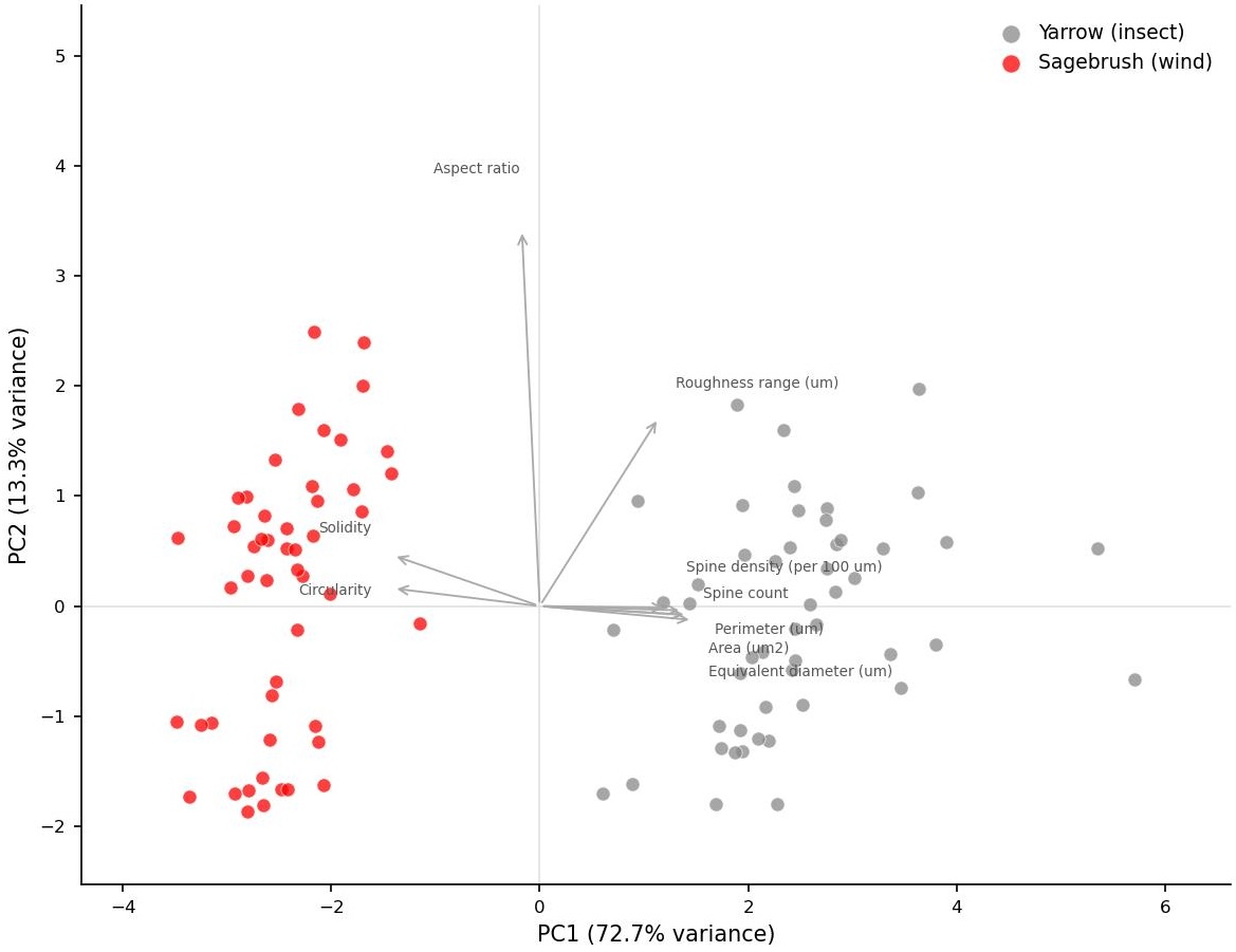 PCA biplot of pollen morphology